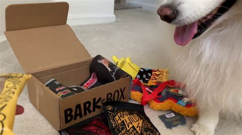 hairy metal bark box|Unboxing the July 2019 BarkBox .